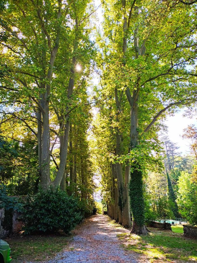 Notre Dame Des Anges * Lurs